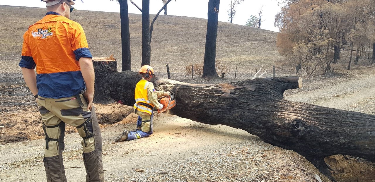 WHA Technician Assists Victorian Bushfire Zones as Army Reservist | WHA